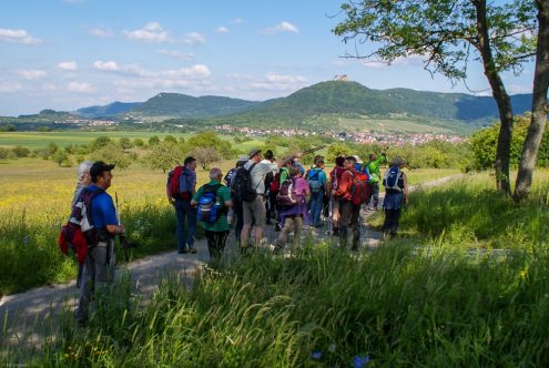 Wanderung am Fuße des Albtraufes, Foto: Erich Haas