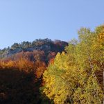 DSC05790_herbst_HGZ