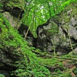 Schluchtwälder_Wolfgang_Herder