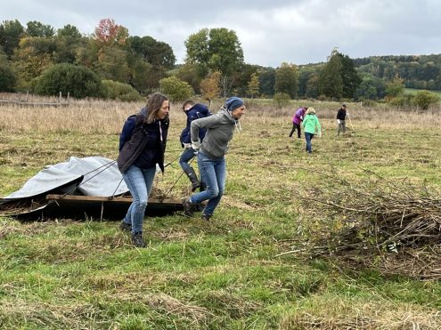 Landschaftspflegetag Schopflocher Moor 2022, Foto Ute Dilg