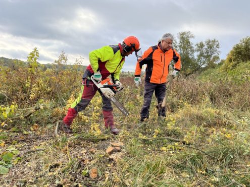 Beim Landschaftspflegetag im Schopflocher Moor 2023