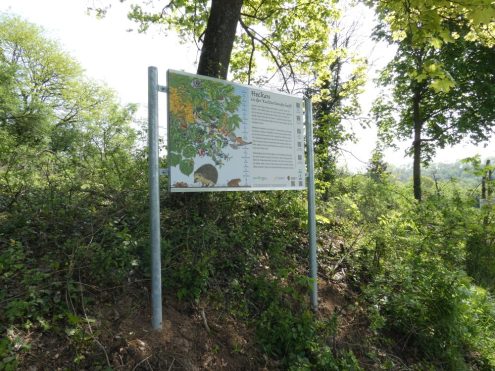 Heckenprojekt im Remstal, Foto: Schwäbischer Albverein