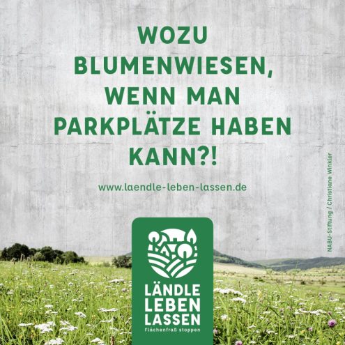 Laendle_SocialMedia-Feed5