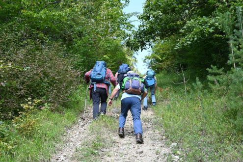 Auch am Grünen Band gibt es steile Stellen. Fotos: Schwäbischer Albverein