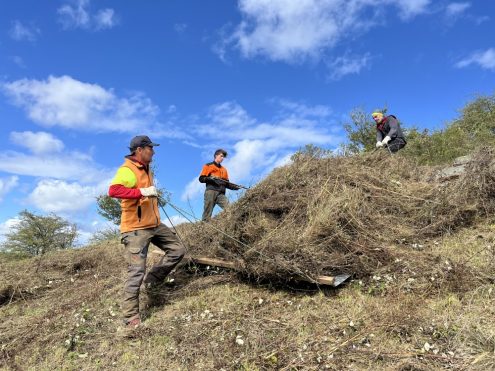 Die steilen Hänge am Füllmenbacher Hofberg stellen die Helfenden vor Herausforderungen. Foto: Ute Dilg