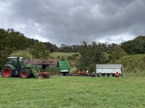 Vesperpausen gehören auch dazu. Foto: Ute Dilg