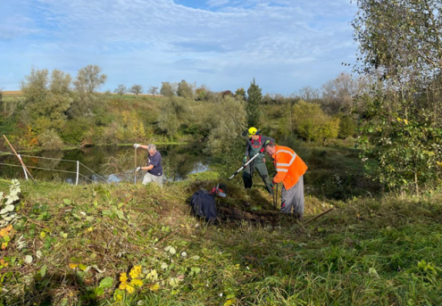 Landschaftspflegetag des Esslinger Gaus in der Lehmgrube Wernau. Foto Schwäbischer Albverein Esslinger Gau
