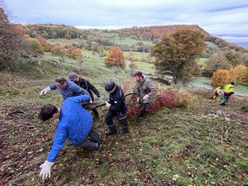 Muskeleinsatz beim Landschaftspflegetag im Randecker Maar. Foto Ute Dilg