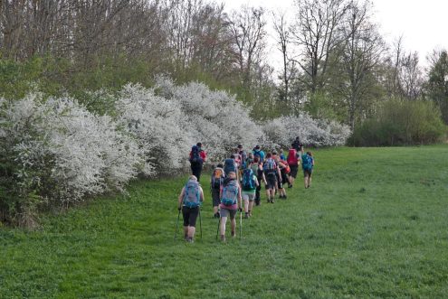 Wandergruppe im Frühling. Foto: Sebastian Fischer