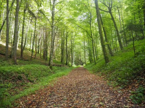 Alleine weit wandern ist eine Herausforderung für sich. Foto: Martin Ruppert