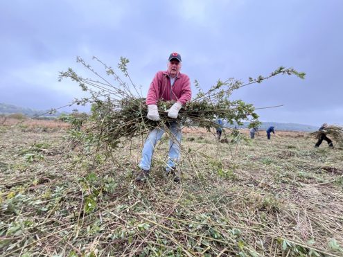Muskelkraft war gefragt beim Landschaftspflegetag im Schopflocher Moor. Foto: Schwäbischer Albverein